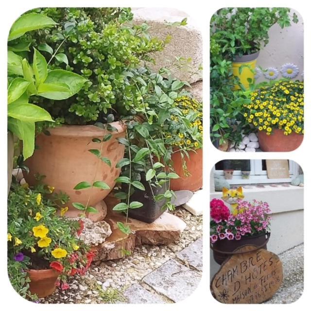 La Maison Des Fleurs Scrignac Extérieur photo