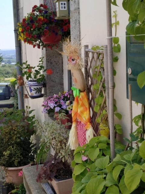 La Maison Des Fleurs Scrignac Extérieur photo